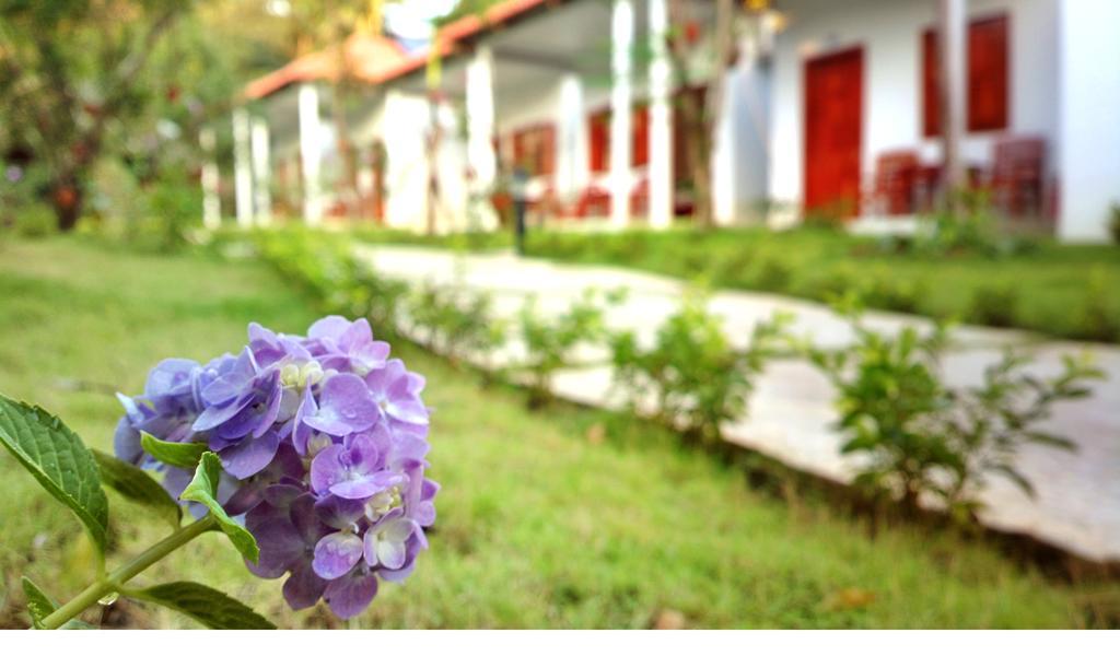 Highland Bungalow Phu Quoc Exterior foto