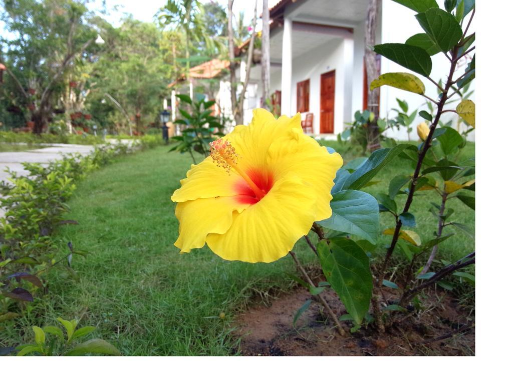 Highland Bungalow Phu Quoc Exterior foto