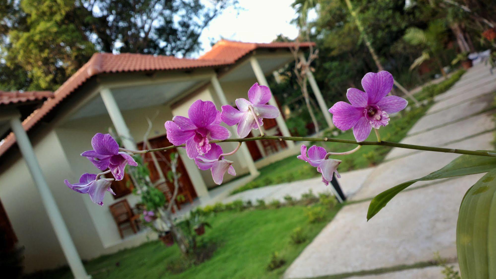 Highland Bungalow Phu Quoc Exterior foto